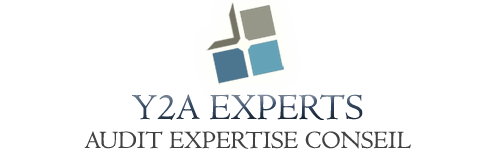 logo Y2A expertise conseil